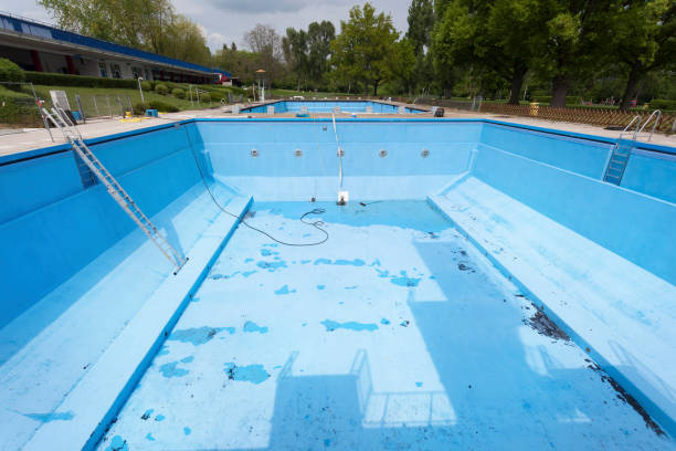 Best Water damage contractors near me  in Web, AL