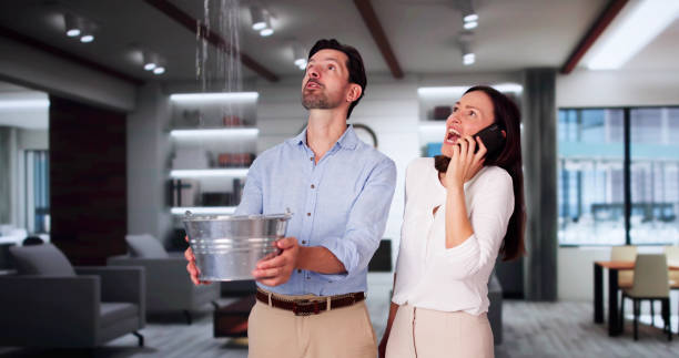  Web, AL Water damage restoration Pros