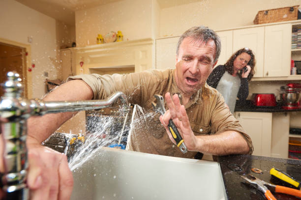 Best Flood damage cleanup  in Web, AL